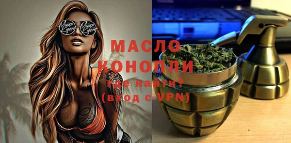 сатива Новозыбков