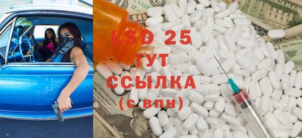 сатива Новозыбков