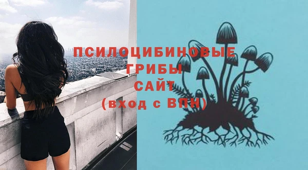 дживик Наволоки