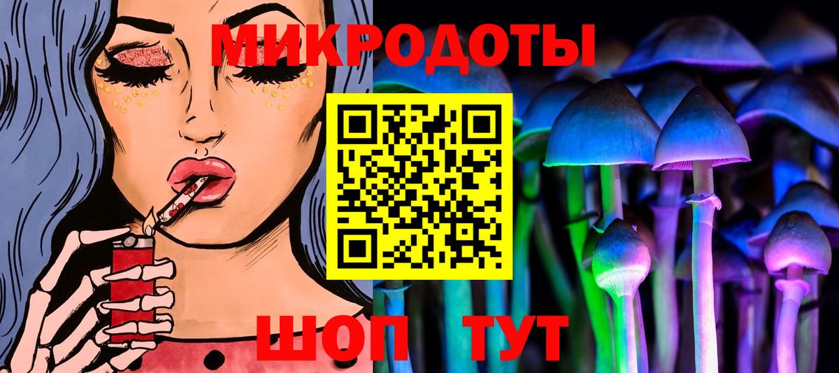 Галлюциногенные грибы Psilocybe Ирбит