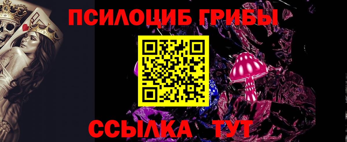 Ирбит  Псилоцибиновые грибы Psilocybe  Псилоцибиновые грибы прущие грибы  Вход с VPN 